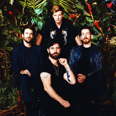 Foals