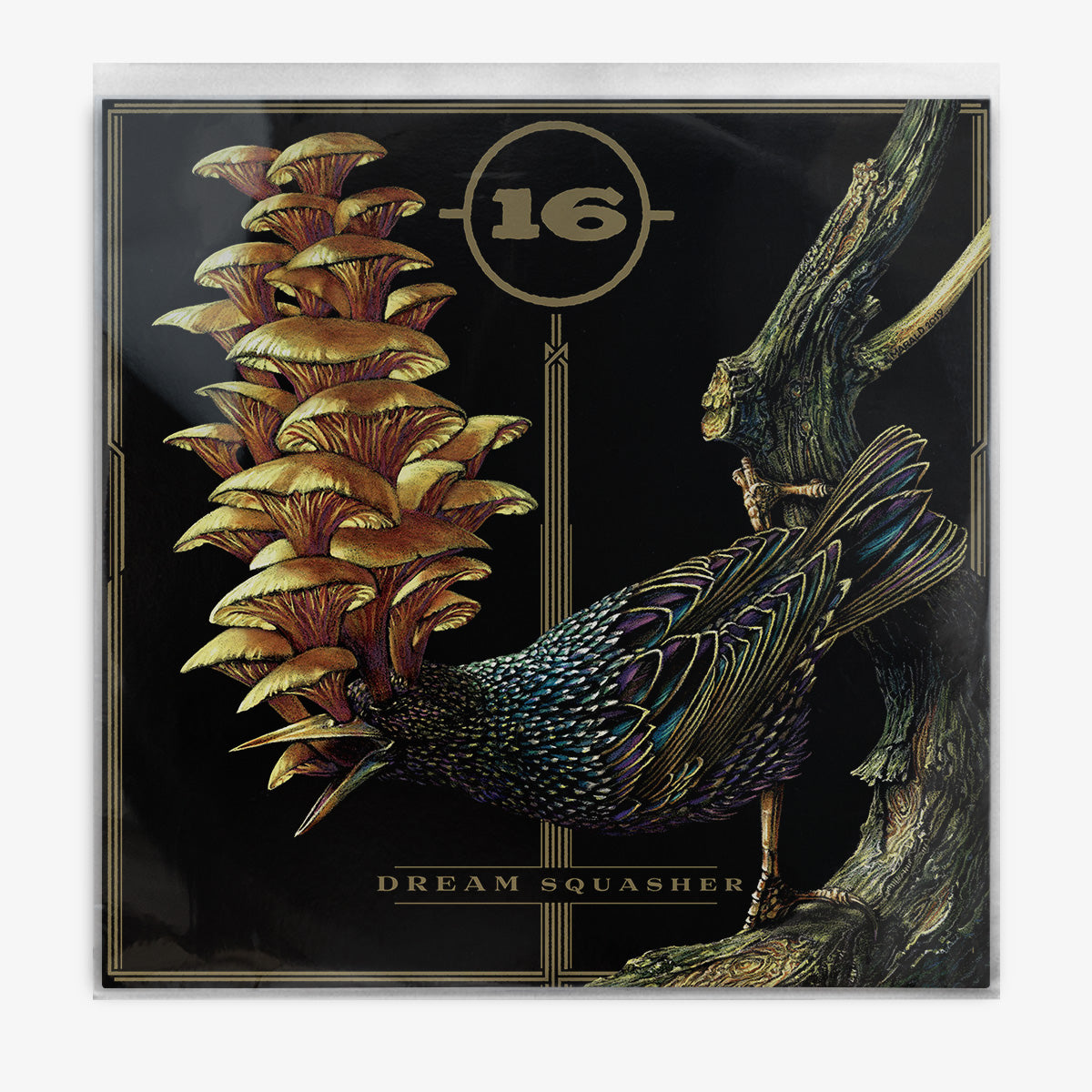 16 'Dream Squasher' LP Cover