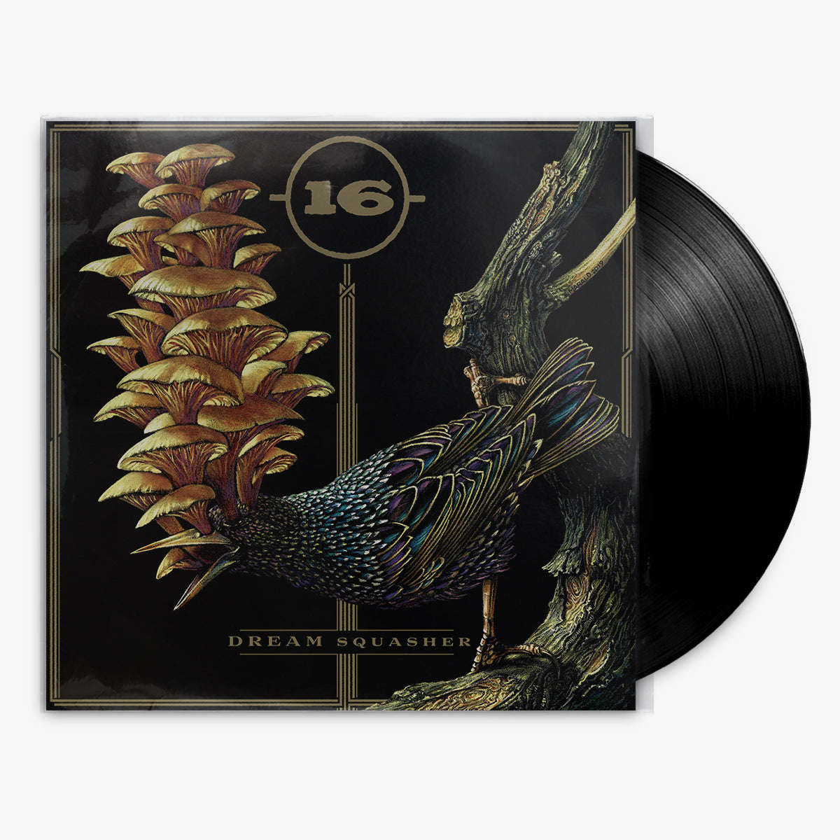 16 'Dream Squasher' 12" LP Black vinyl