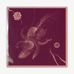 Aaron Turner & Jon Mueller 'Now That You've Found It' LP Cover