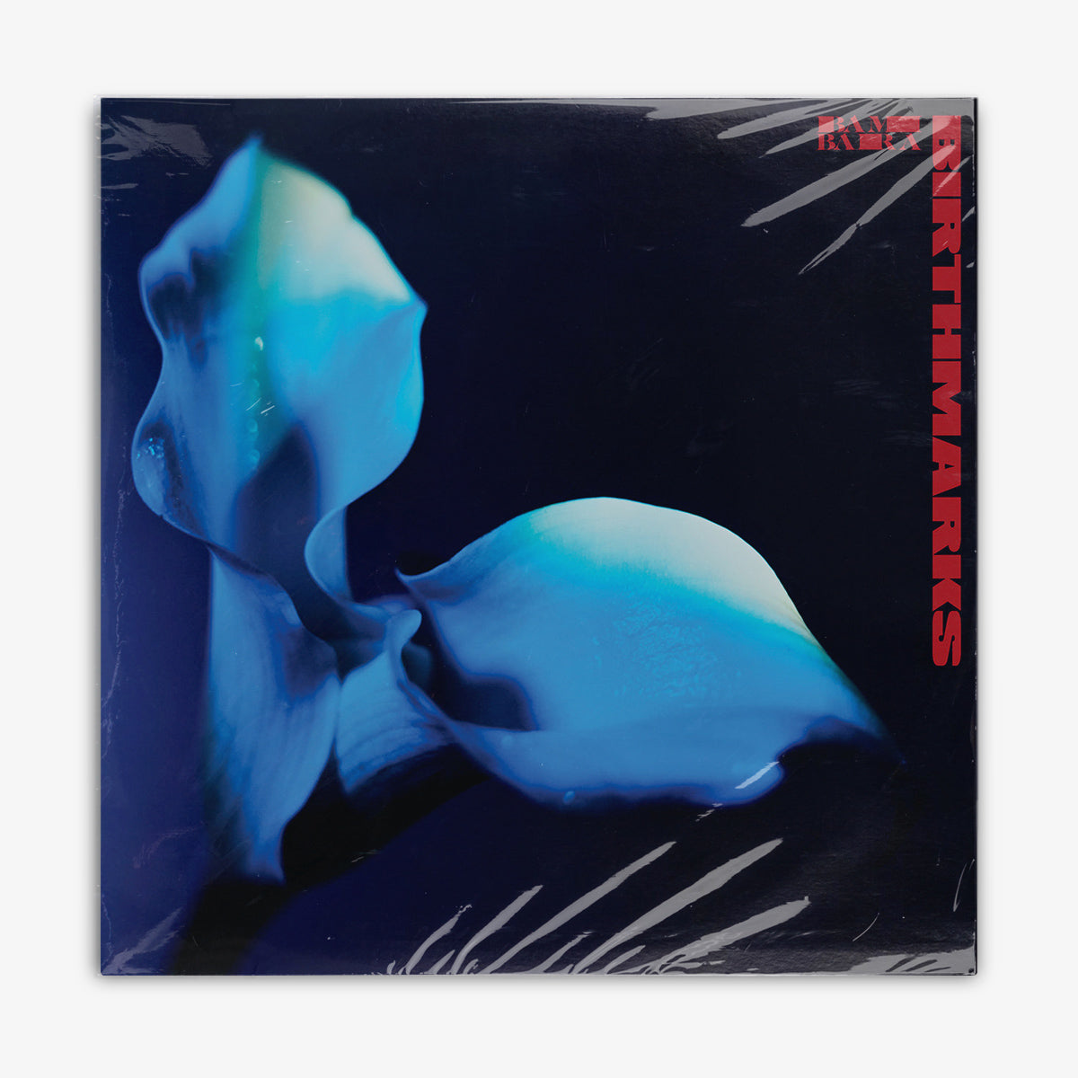 Bambara 'Birthmarks' LP Cover