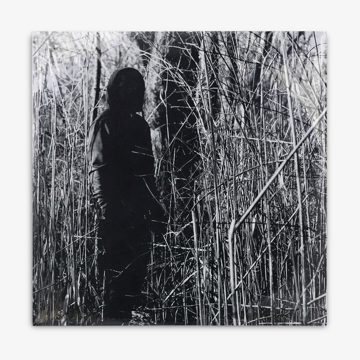 billy woods 'Today, I Wrote Nothing' LP cover