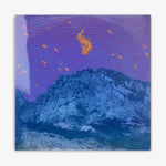 Pelican 'Flickering Resonance' LP Cover