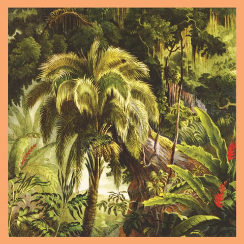 Xiu Xiu 'La Forêt' LP Cover