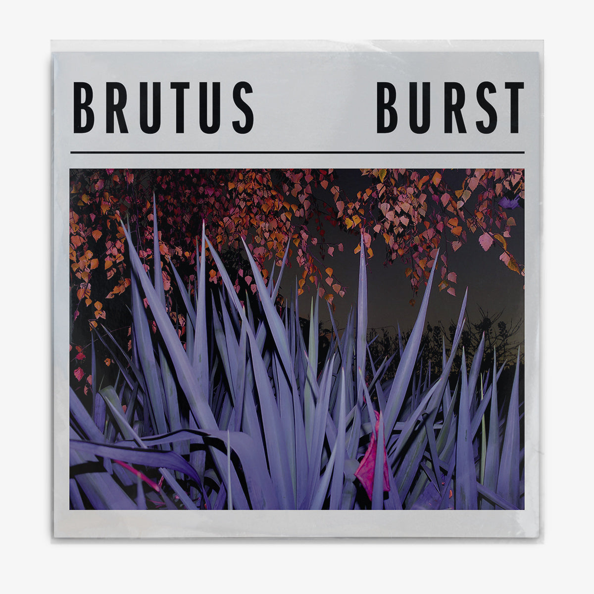 Brutus 'Burst' LP cover