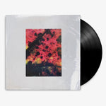 Common Eider, King Eider 'A Wound of Earth' 12" LP Black vinyl