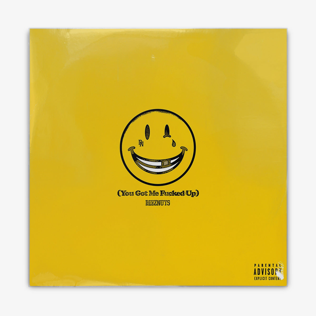 Deez Nuts 'You Got Me Fucked Up' LP Cover