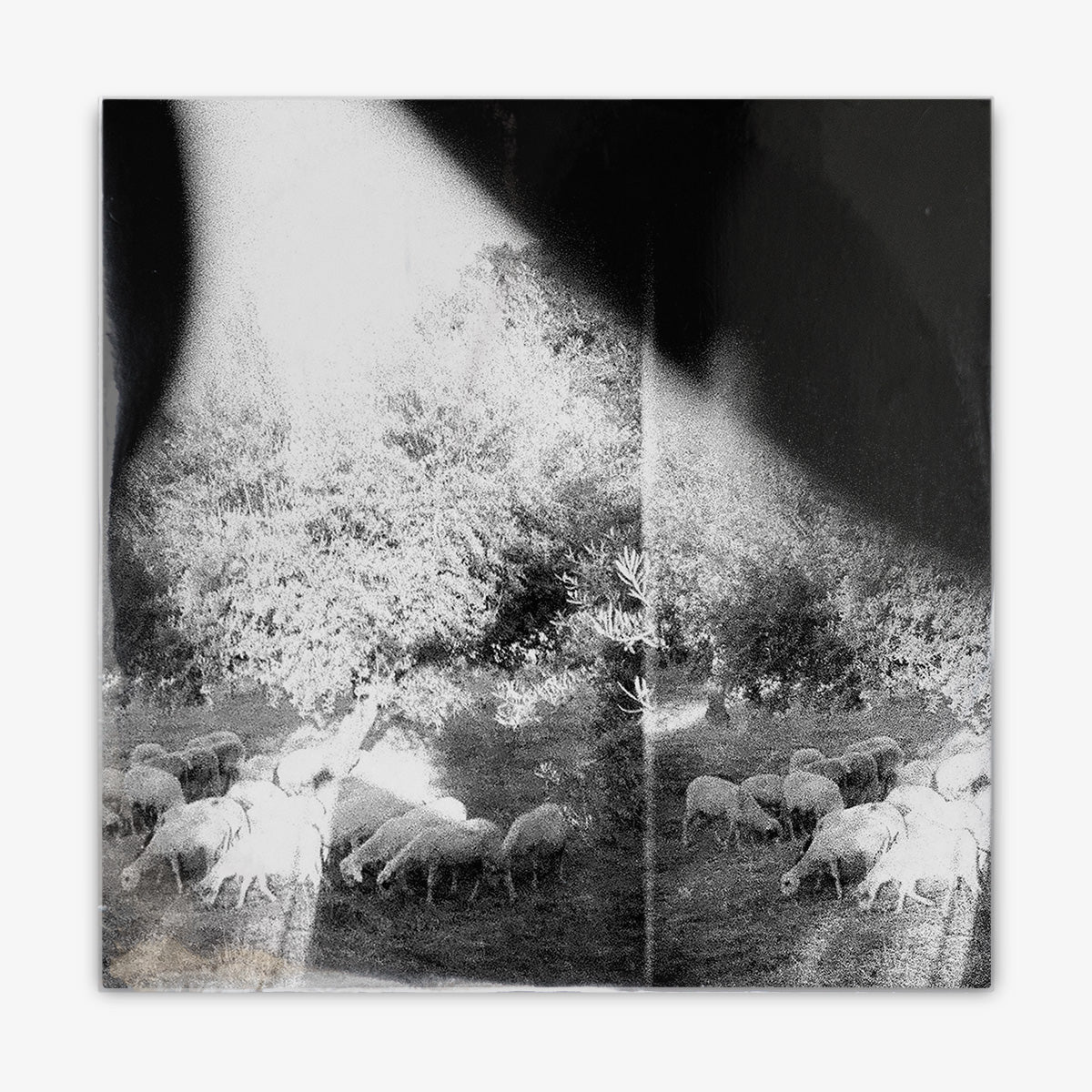 Godspeed You! Black Emperor 'Asunder, Sweet and Other Distress' LP Cover
