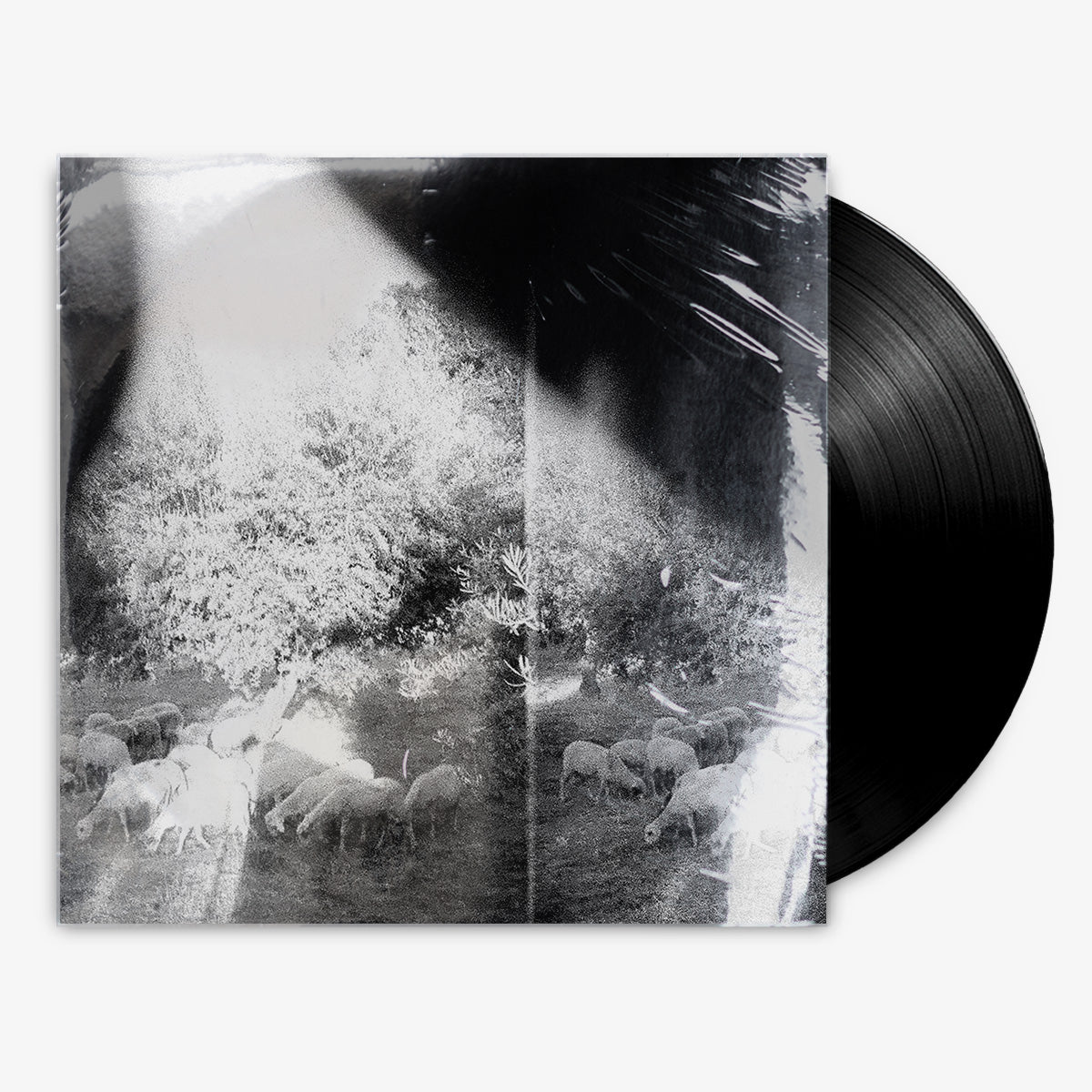 Godspeed You! Black Emperor 'Asunder, Sweet and Other Distress' 12" LP Black vinyl