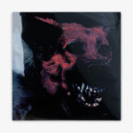 Protomartyr 'Under Color of Official Right' LP Cover