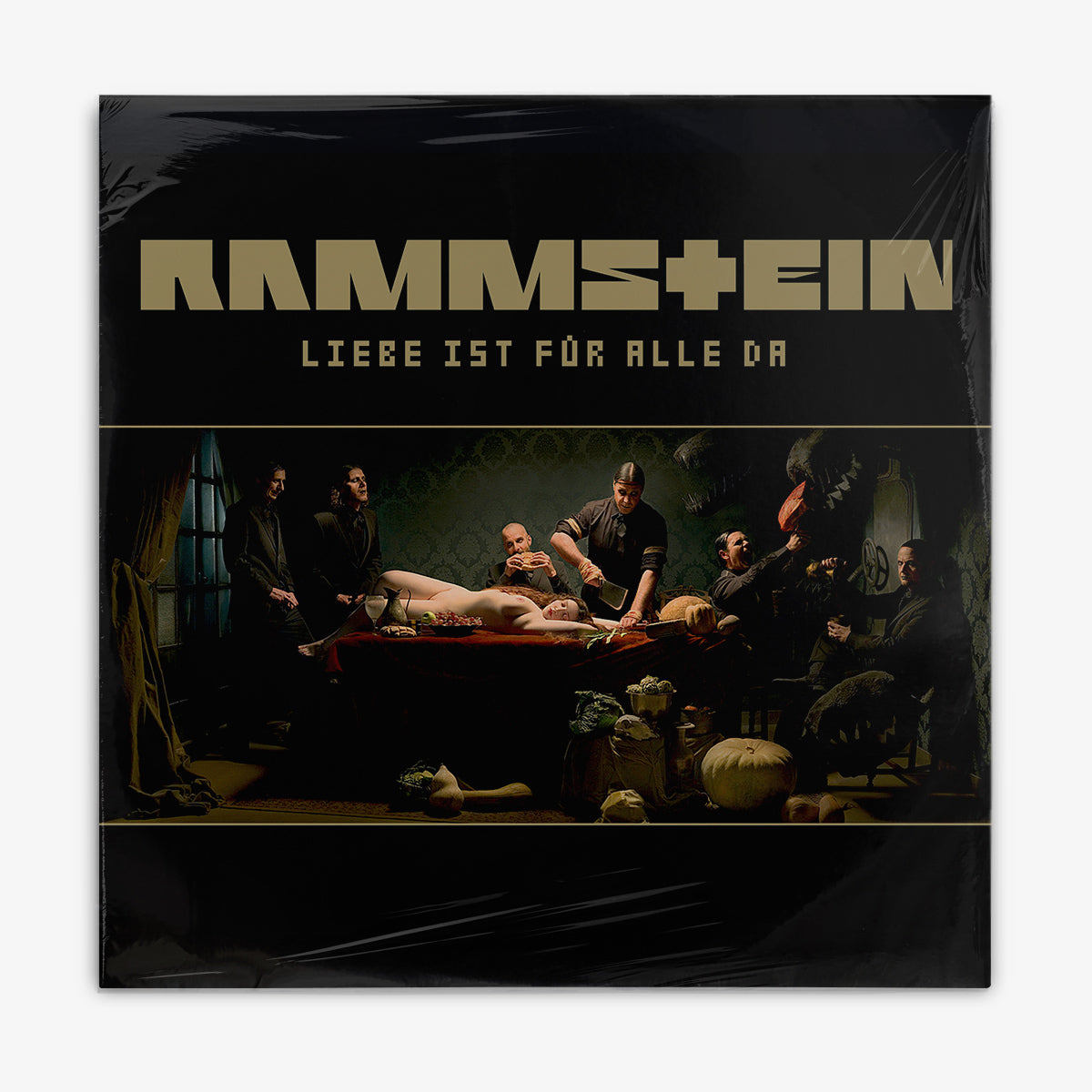 Rammstein 'Liebe ist für alle da' LP cover