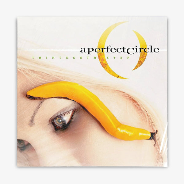 A Perfect Circle 'Thirteenth Step' LP Cover