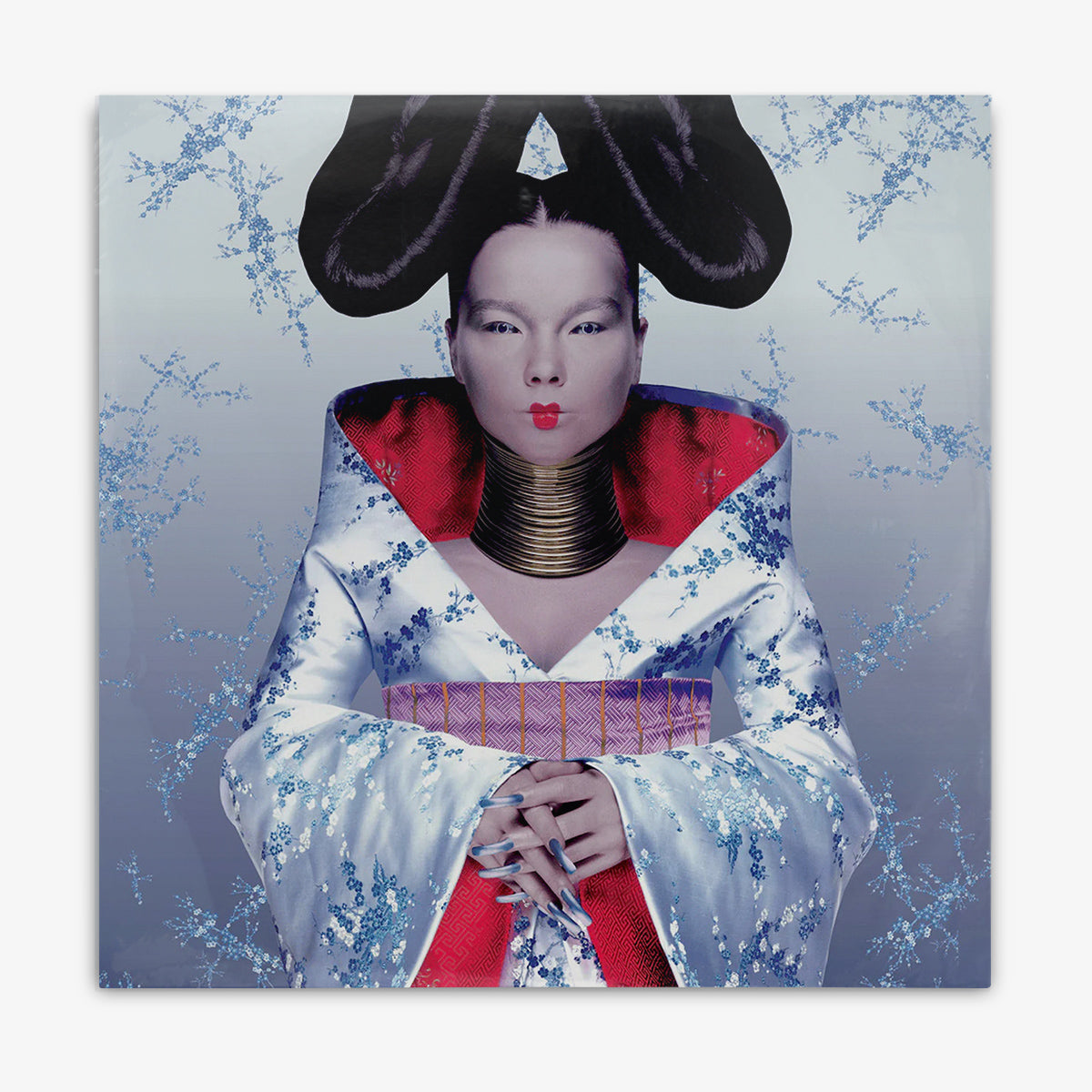 Björk 'Homogenic' LP cover