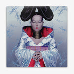 Björk 'Homogenic' LP cover