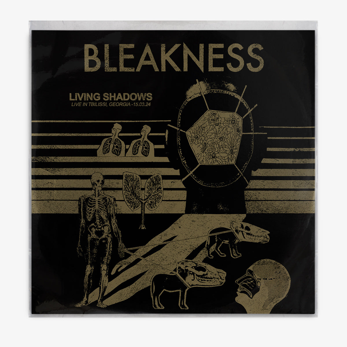 Bleakness 'Living Shadows' LP cover