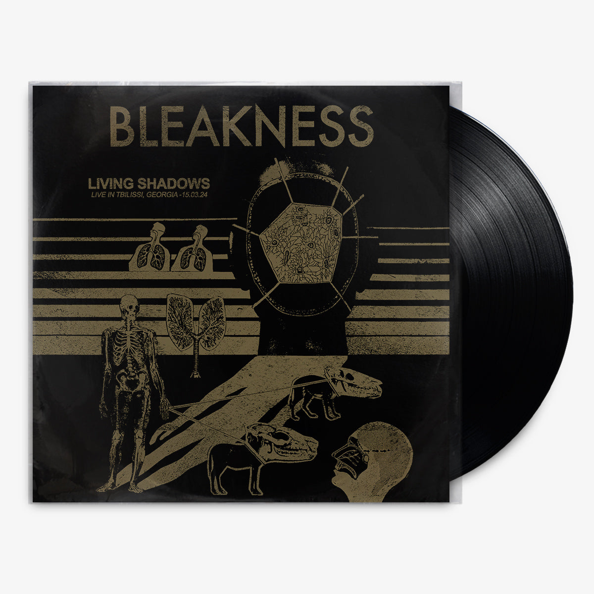 Bleakness 'Living Shadows' 12" LP Black vinyl