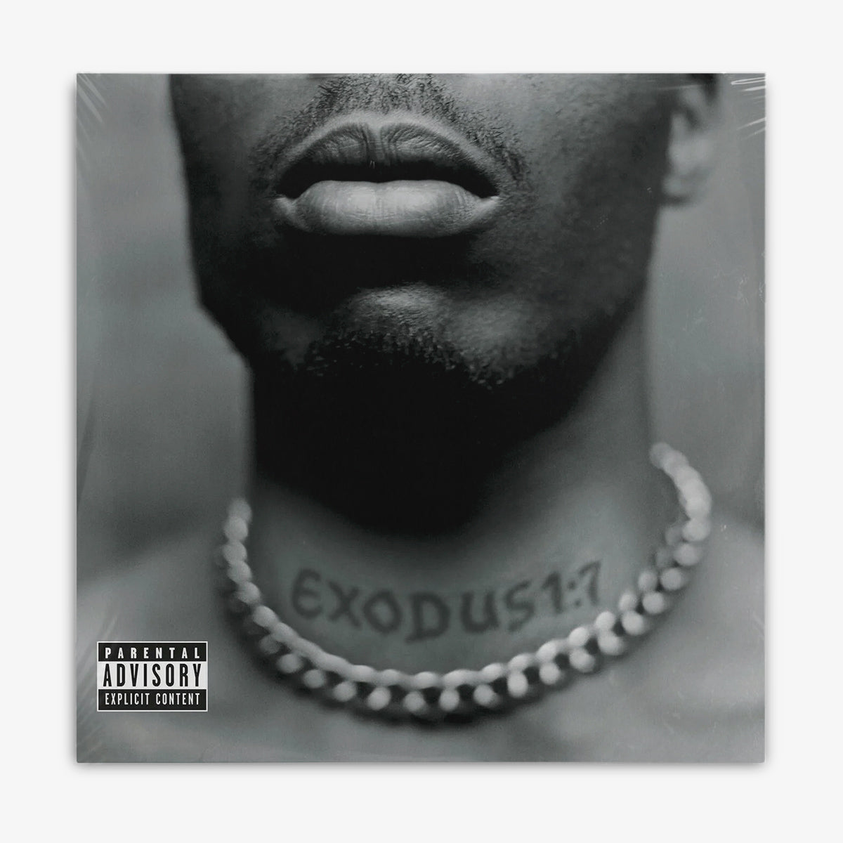 DMX 'Exodus' LP cover