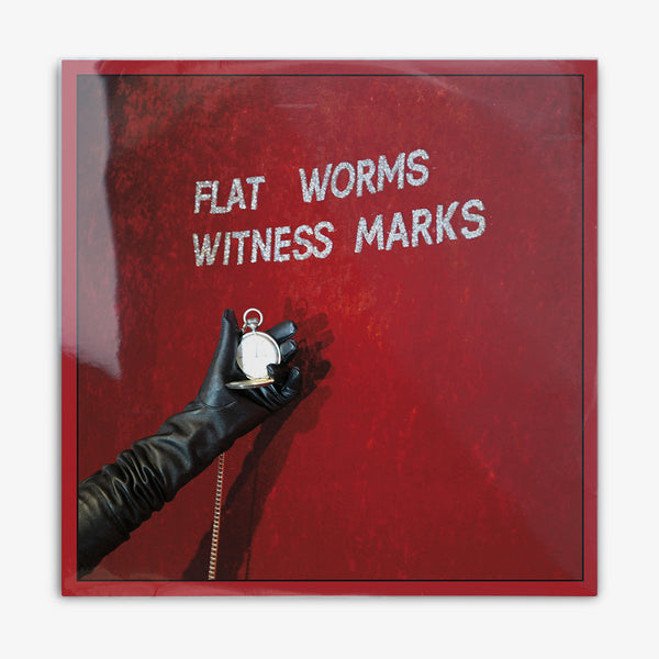 Flat Worms 'Witness Marks' LP Cover