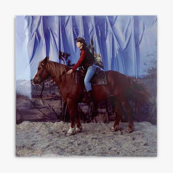 Holy Motors 'Horse' LP Cover