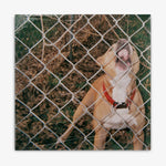 Knocked Loose 'Pop Culture' EP Cover