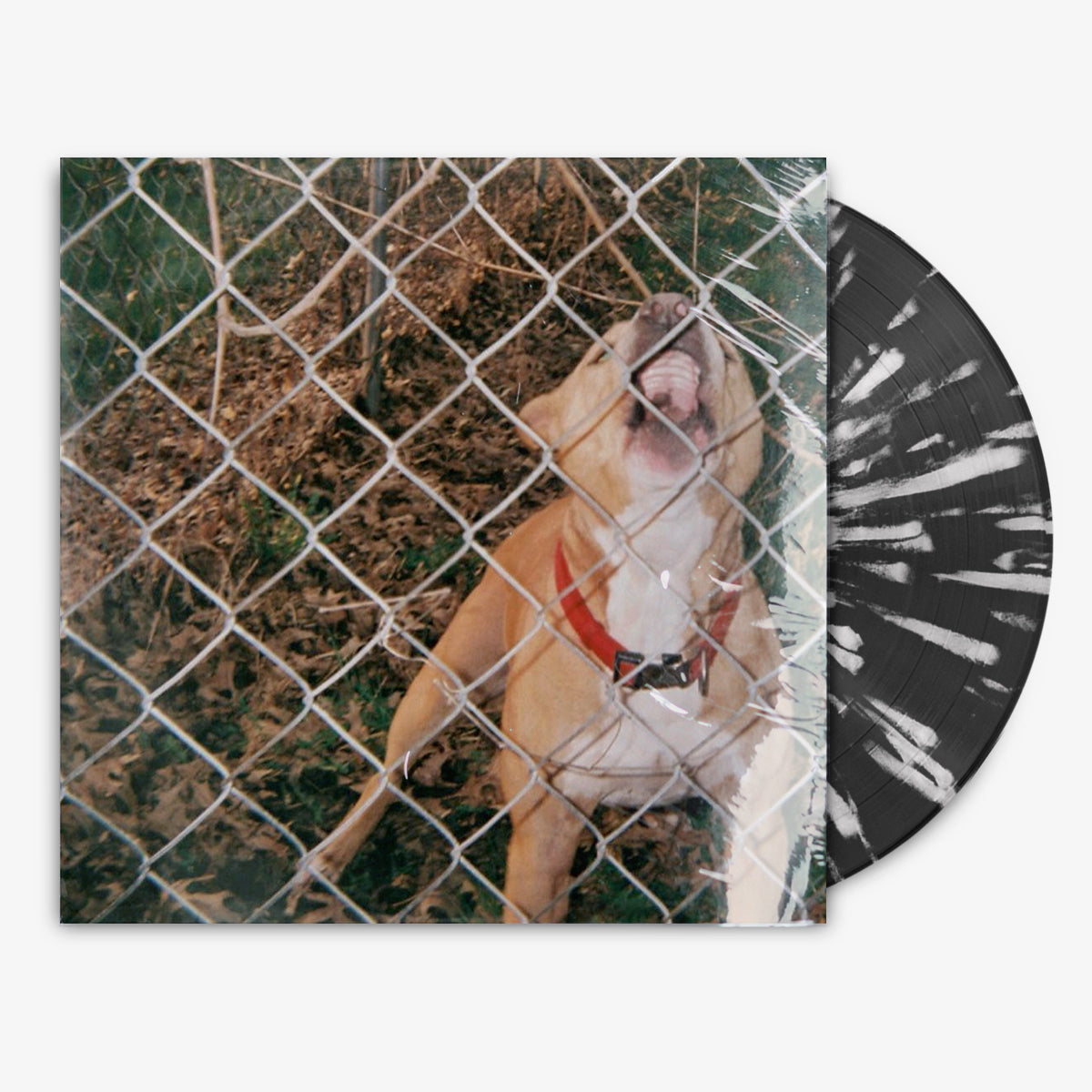 Knocked Loose 'Pop Culture' 12" EP Black Ice w/ White Splatter vinyl