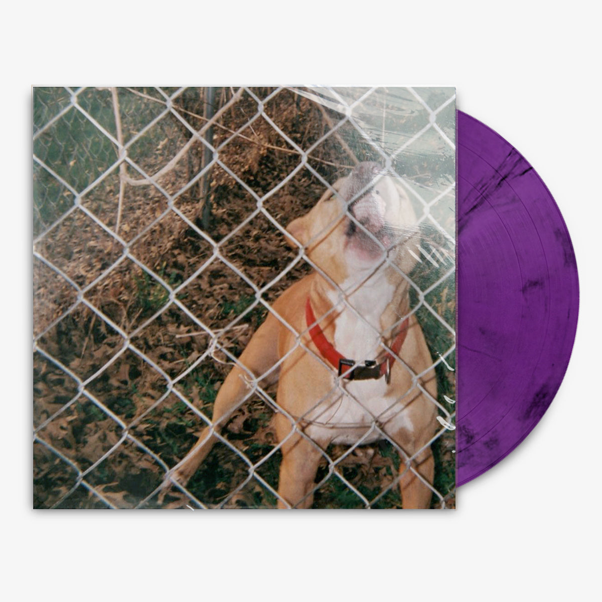 Knocked Loose 'Pop Culture' 12" EP Recycled Lavender vinyl