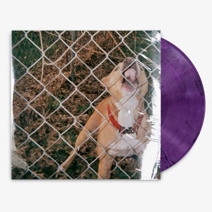 Knocked Loose 'Pop Culture' 12" EP Recycled Lavender vinyl