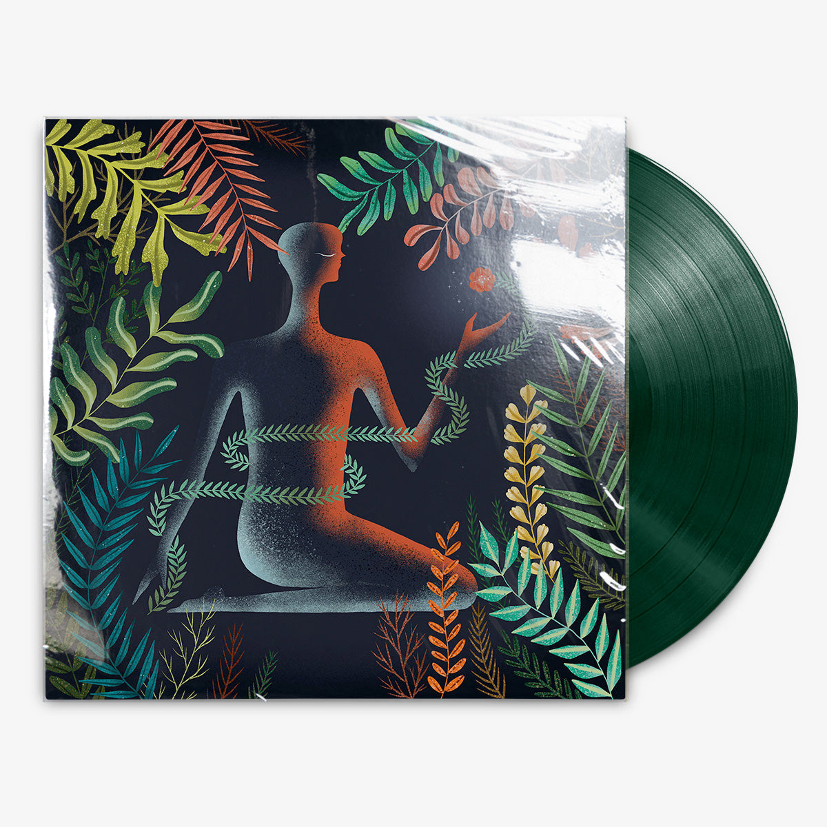 Loma 'Don't Shy Away' 12" LP Dark Green vinyl