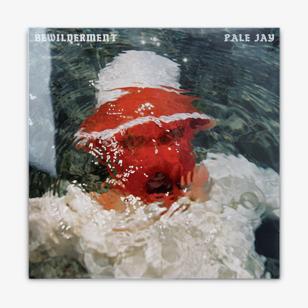 Pale Jay 'Bewilderment' LP Cover