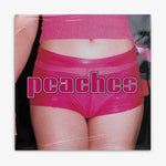 Peaches 'The Teaches of Peaches' LP cover