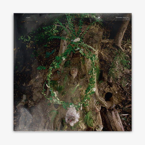 Pharmakon 'Maggot Mass' LP Cover