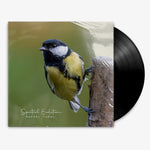 Rafael Toral 'Spectral Evolution' 12" LP Black vinyl