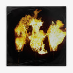 Show Me the Body 'Trouble the Water' LP cover