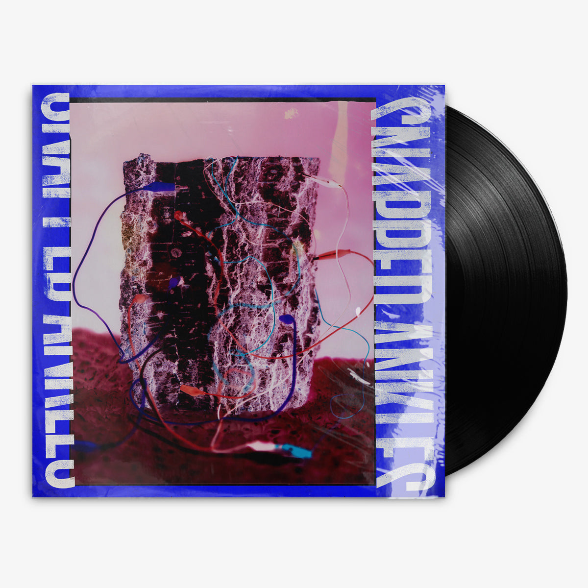 Snapped Ankles 'Forest of Your Problems' 12" LP Black vinyl