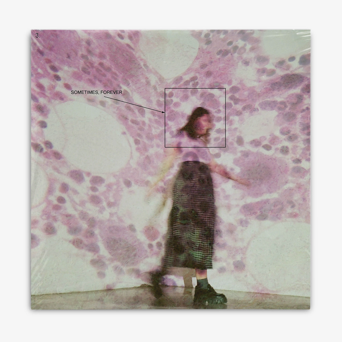 Soccer Mommy 'Sometimes, Forever' LP cover