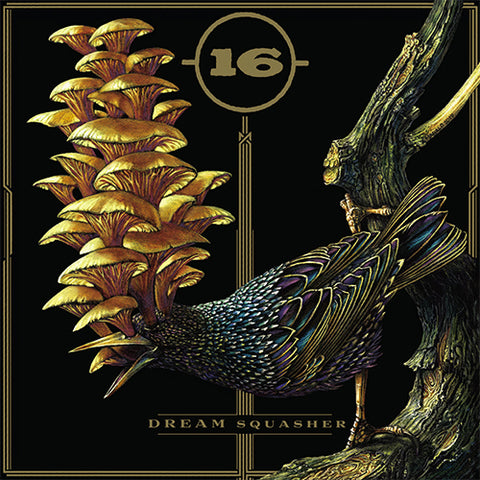 16 'Dream Squasher' LP Cover