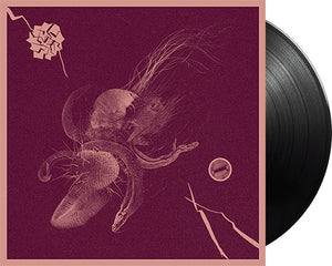 AARON TURNER & JON MUELLER 'Now That You've Found It' 12" LP Black vinyl