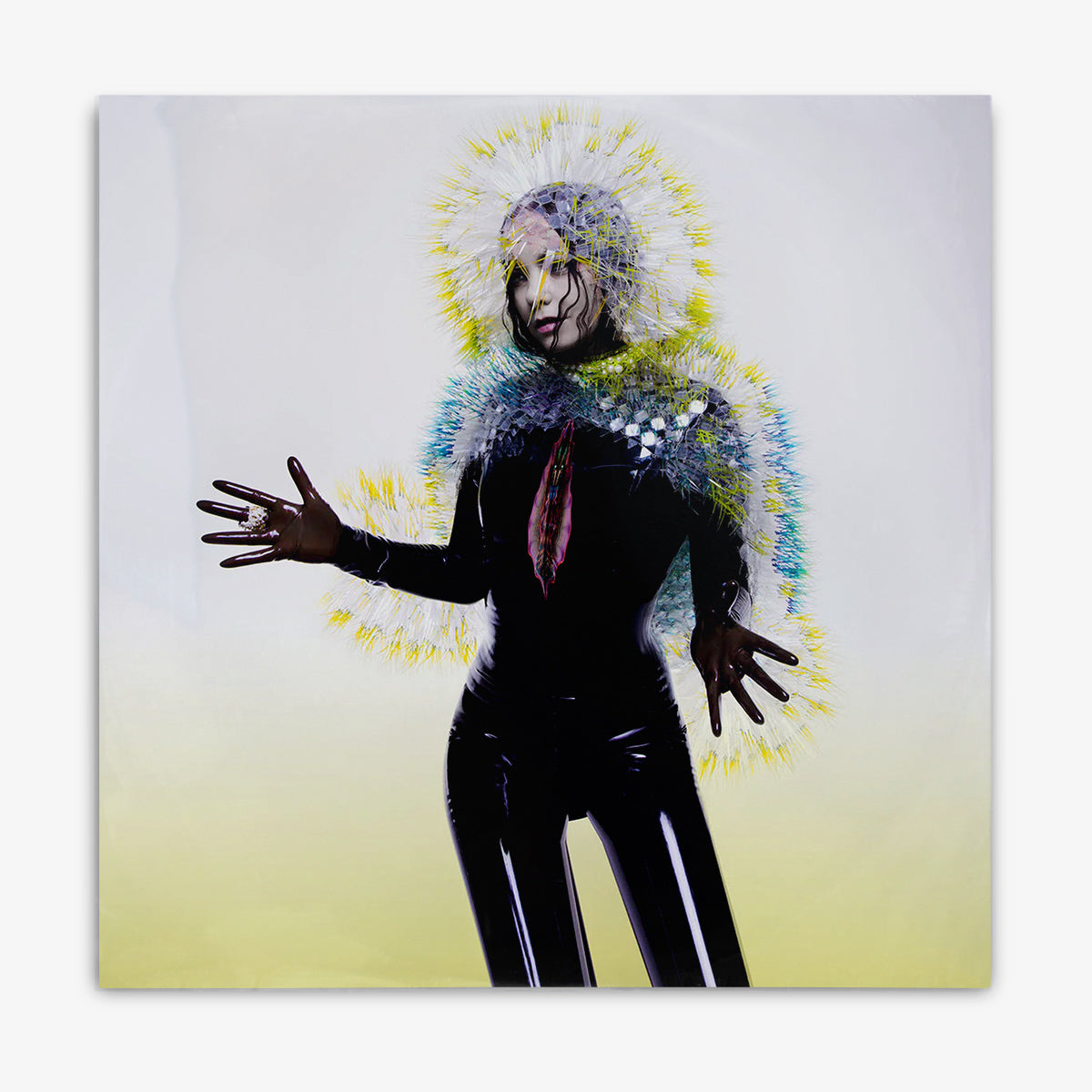 Björk 'Vulnicura' LP cover