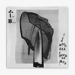 The Body 'I've Seen All I Need To See' LP cover