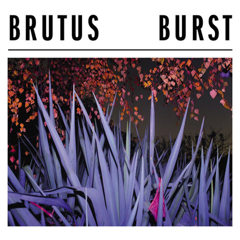 BRUTUS 'Burst' LP Cover