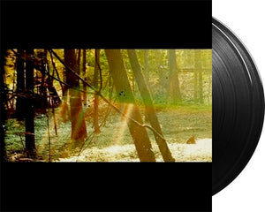 CHILDISH GAMBINO 'Camp' 2x12" LP Black vinyl