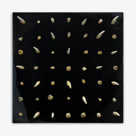 clipping. 'Visions of Bodies Being Burned' LP Cover