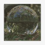 DARKSIDE 'Spiral' LP cover