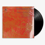 Destruction Unit 'Negative Feedback Resistor' 12" LP Black vinyl