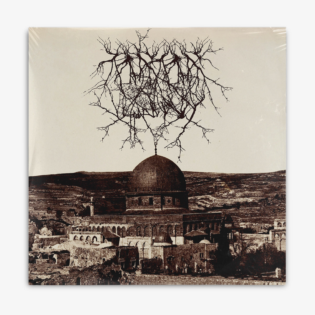 Entropy Created Consciousness 'Impressions of the Morning Star' LP cover