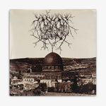 Entropy Created Consciousness 'Impressions of the Morning Star' LP cover