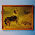 EXPLOSIONS IN THE SKY 'The Rescue' LP Cover