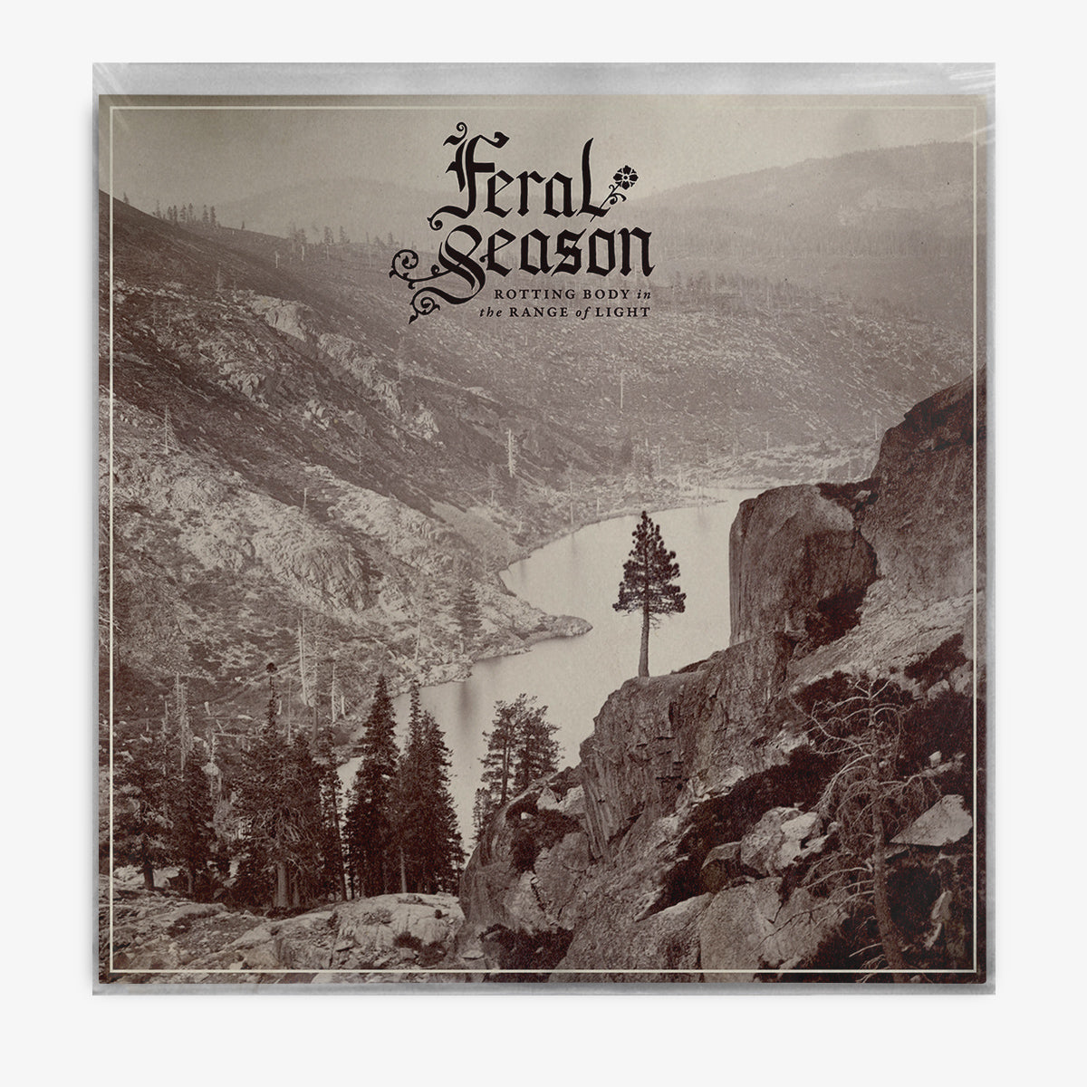 Feral Season 'Rotting Body in the Range of Light' LP cover