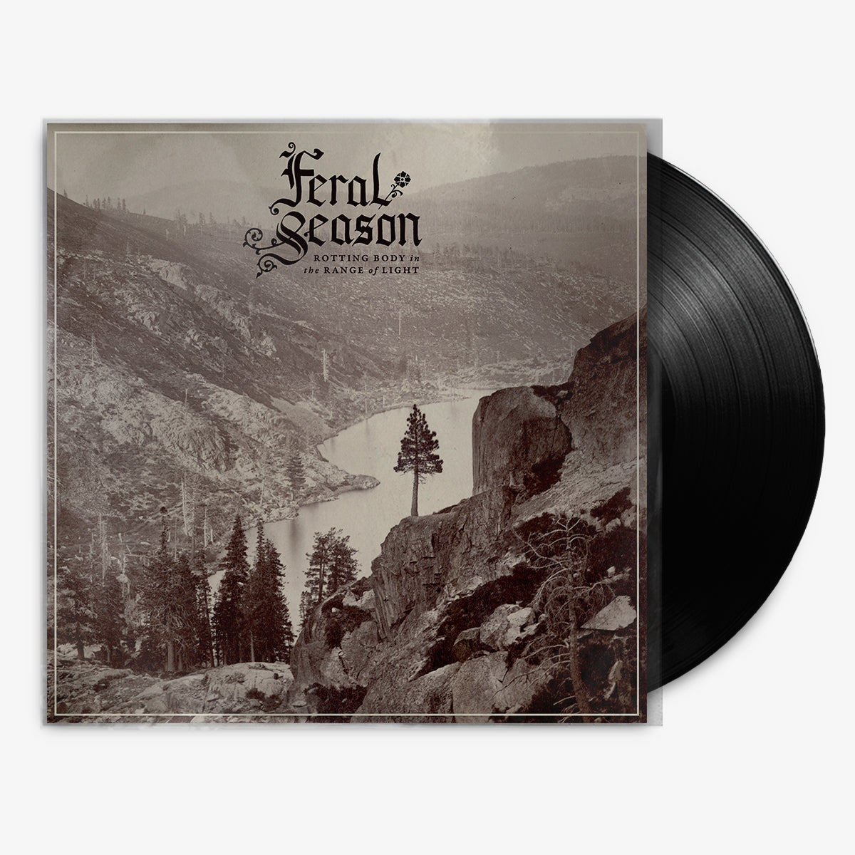 Feral Season 'Rotting Body in the Range of Light' 12" LP Black vinyl