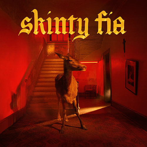 FONTAINES D.C. 'Skinty Fia' LP Cover